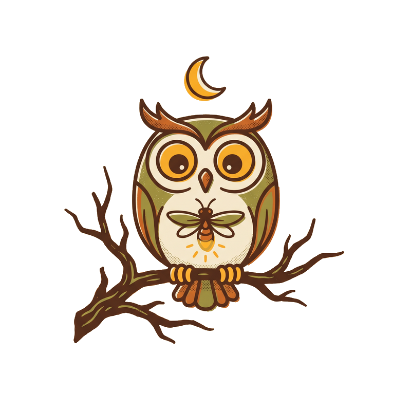 Illustrated owl being asked a question by a small firefly